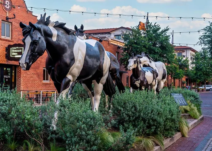 Luxury Family Friendly 6 Queen Beds Fort Worth